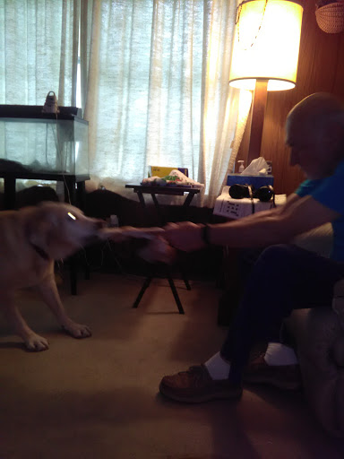 Pet Store «Bark Life Market», reviews and photos, 11220 Park Blvd N, Seminole, FL 33772, USA