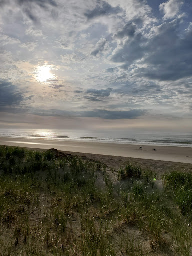 Bar «Springfield Inn», reviews and photos, 8 43rd St #12, Sea Isle City, NJ 08243, USA