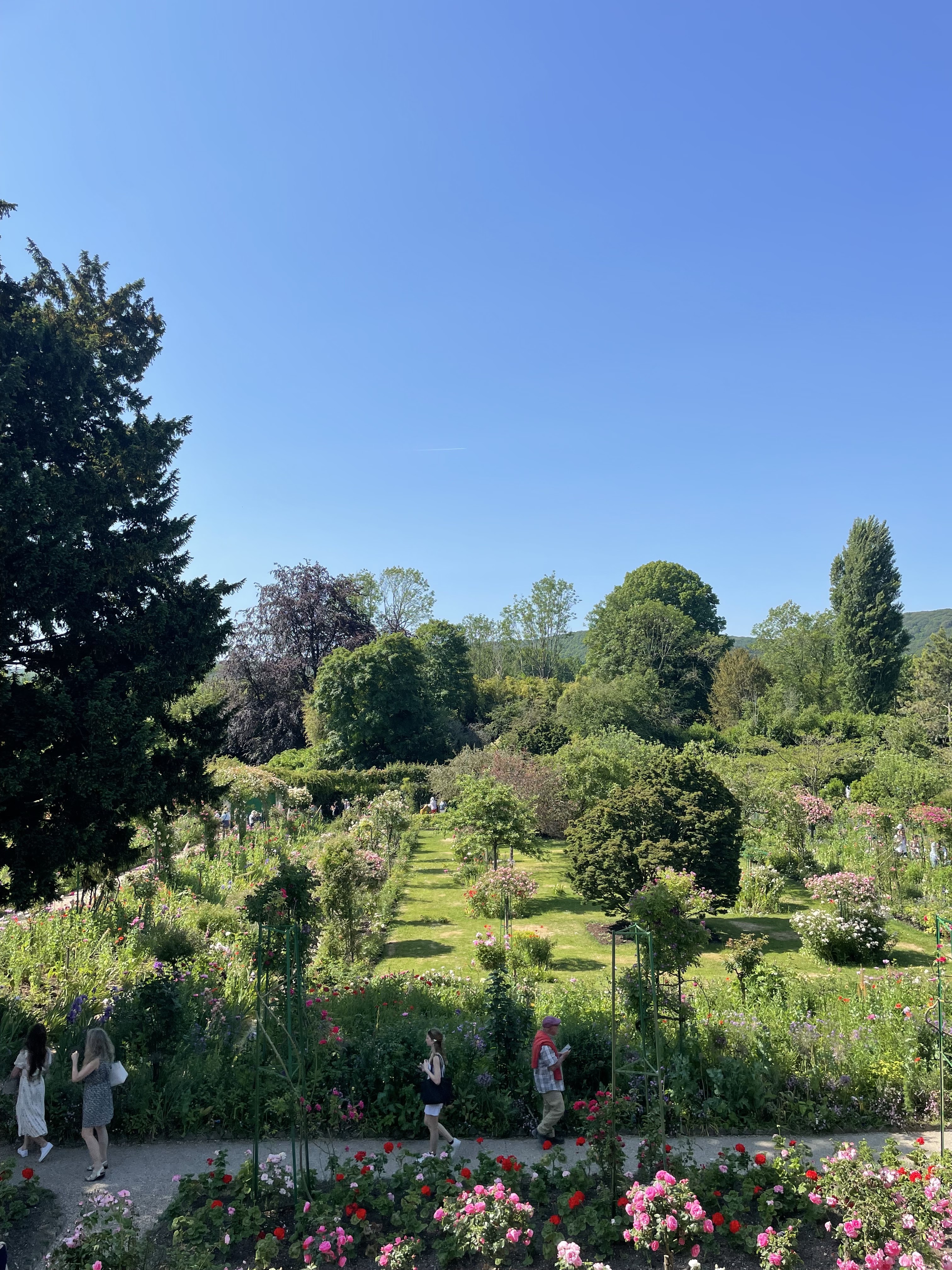 Photo n° 10 de l'avis de Nini.e fait le 07/06/2023 à 05:00