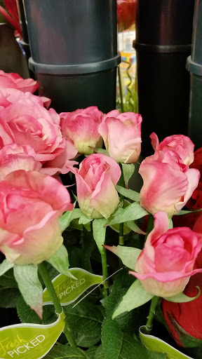 Craft Store «Hobby Lobby», reviews and photos, 4701 J.F.K. Blvd, North Little Rock, AR 72116, USA