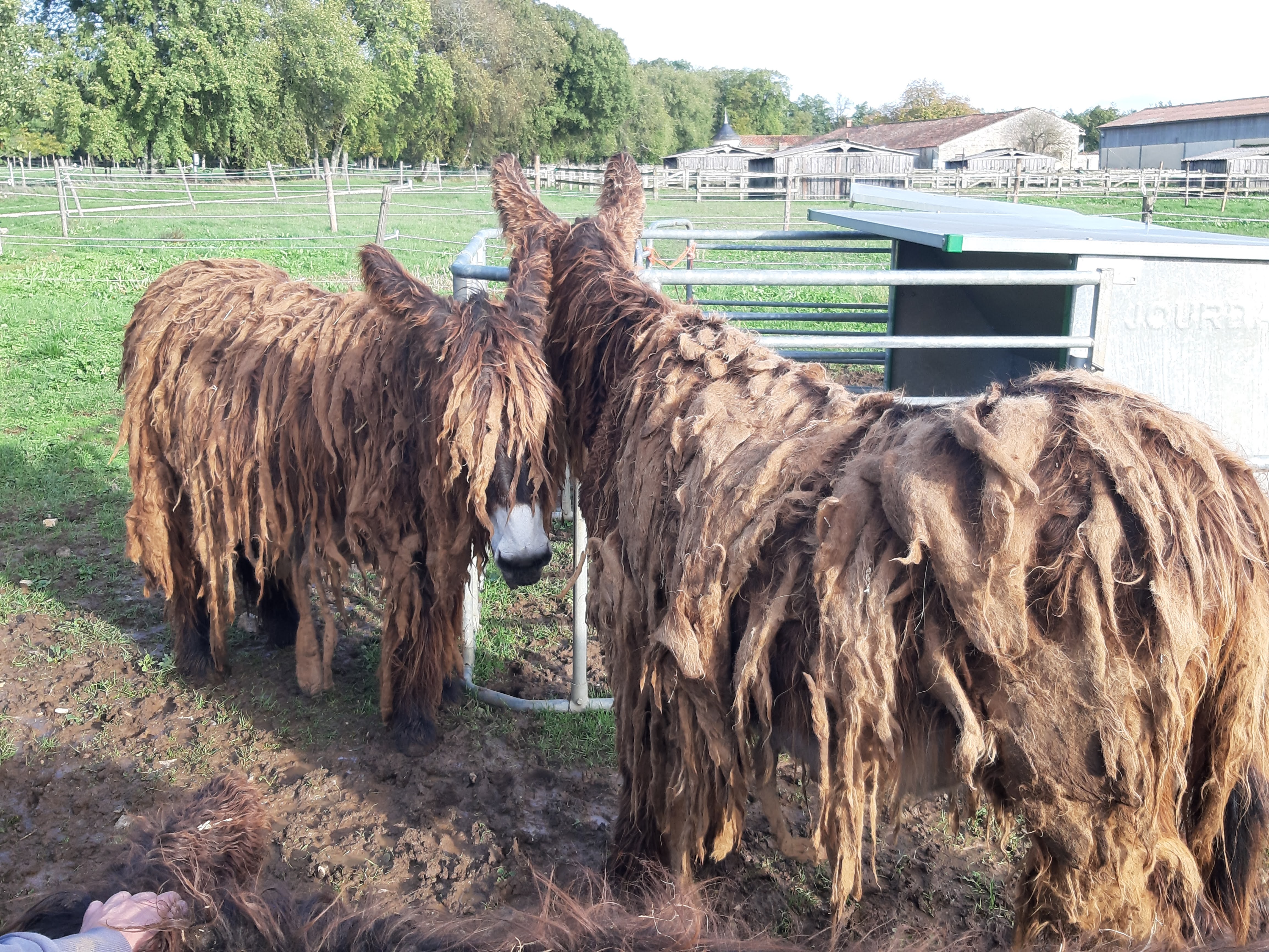 Photo n° 2 de l'avis de Emmanuelle.a fait le 01/11/2023 à 19:46