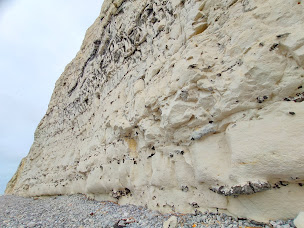 Photo n°16 de Epices et Art à Dieppe ()
