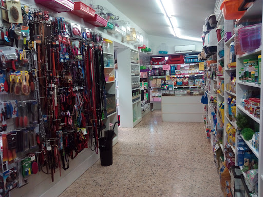 Katukan Romo - Leioa