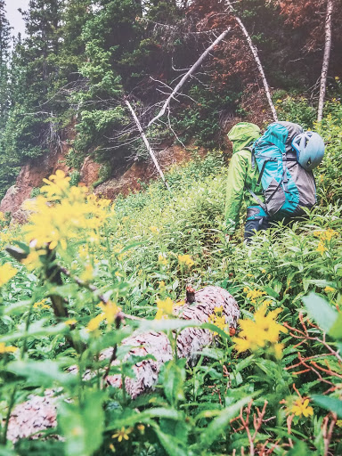 Outdoor Sports Store «Buffalo Peak Outfitters», reviews and photos, 4500 Interstate 55 North Frontage Rd #115, Jackson, MS 39211, USA
