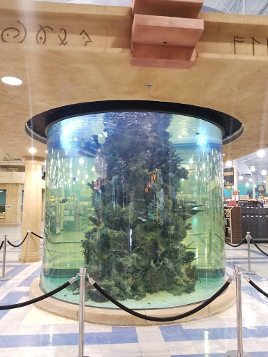 Electronics Store «Frys Electronics», reviews and photos