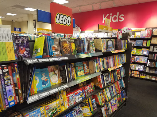 Book Store «Books-A-Million», reviews and photos, 1250 Baltimore Pike L31A, Springfield, PA 19064, USA