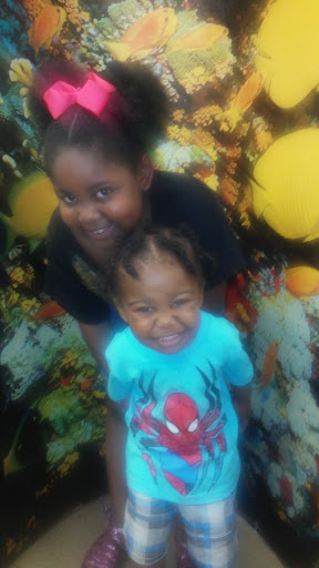 Pet Supply Store «Petco Animal Supplies», reviews and photos, 4665 Garth Rd #400, Baytown, TX 77521, USA