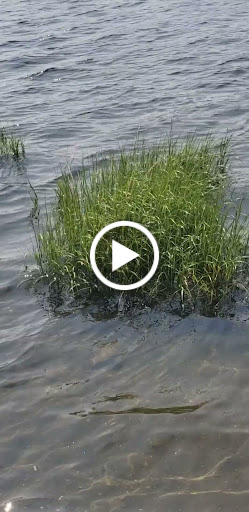 State Park «Colt State Park», reviews and photos, Route 114, Bristol, RI 02809, USA