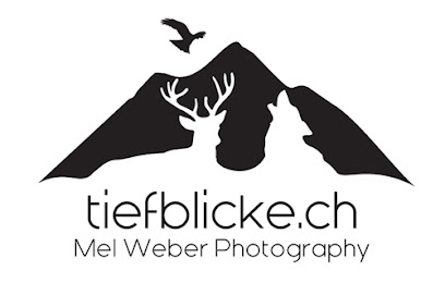 Tiefblicke.ch - Mel Weber Photography