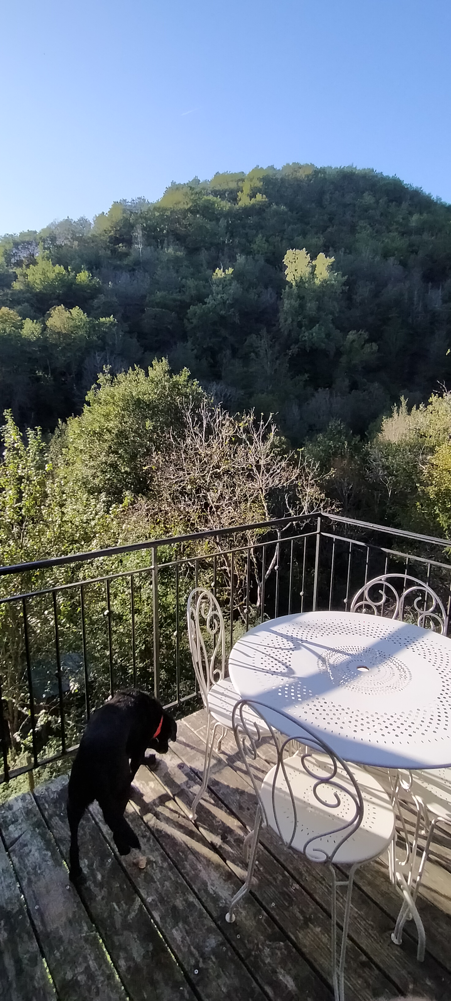 Photo n° 7 de l'avis de Eric.c fait le 14/10/2023 à 17:10