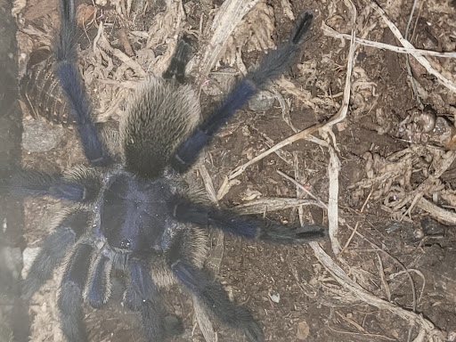 Pet Store «The Pet Works», reviews and photos, 407 4th Ave E, Olympia, WA 98501, USA