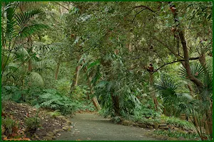 Jardín Botánico - Histórico La Concepción image