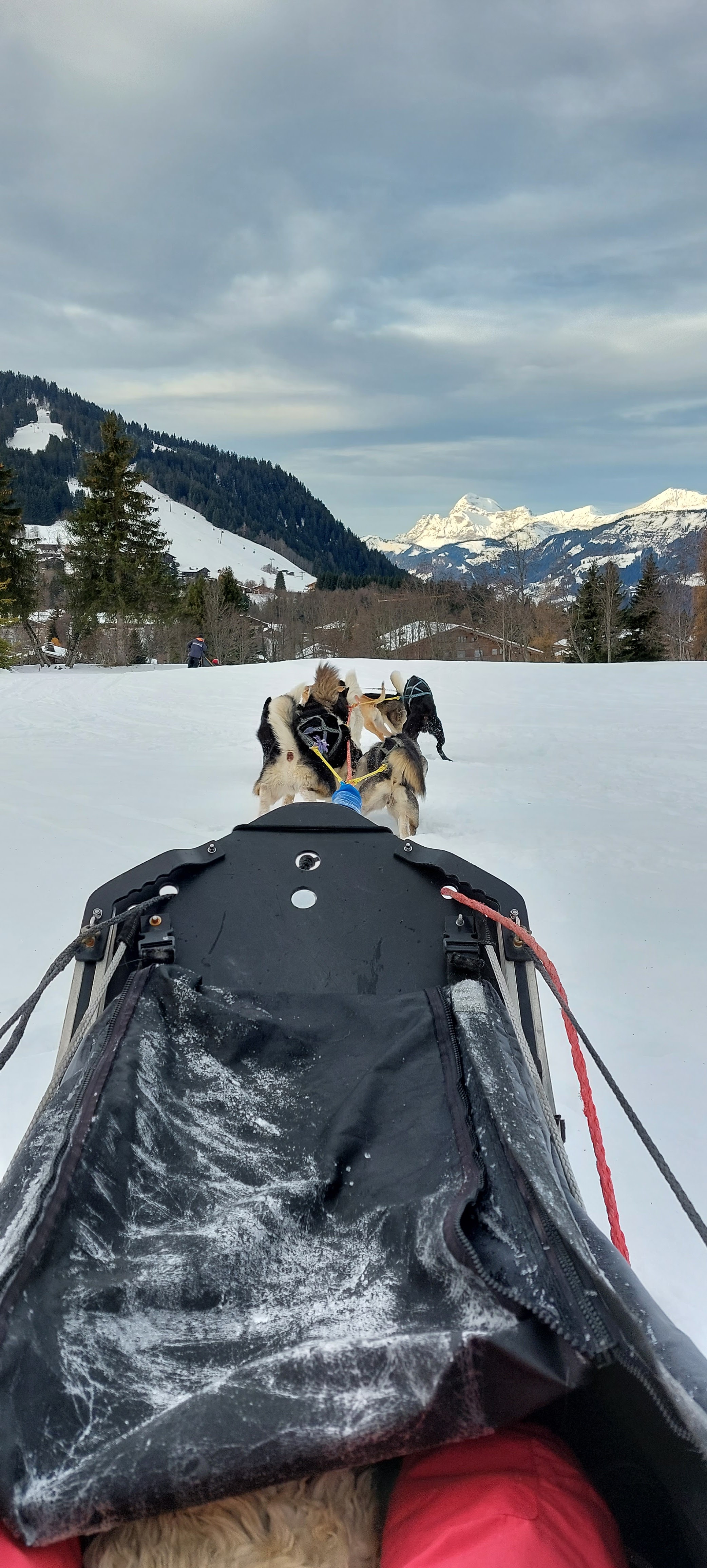 Photo n° 1 de l'avis de Patrice.a fait le 27/02/2023 à 18:10