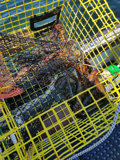 Senior Citizen Center «Newburyport Senior Center», reviews and photos, 331 High St, Newburyport, MA 01950, USA