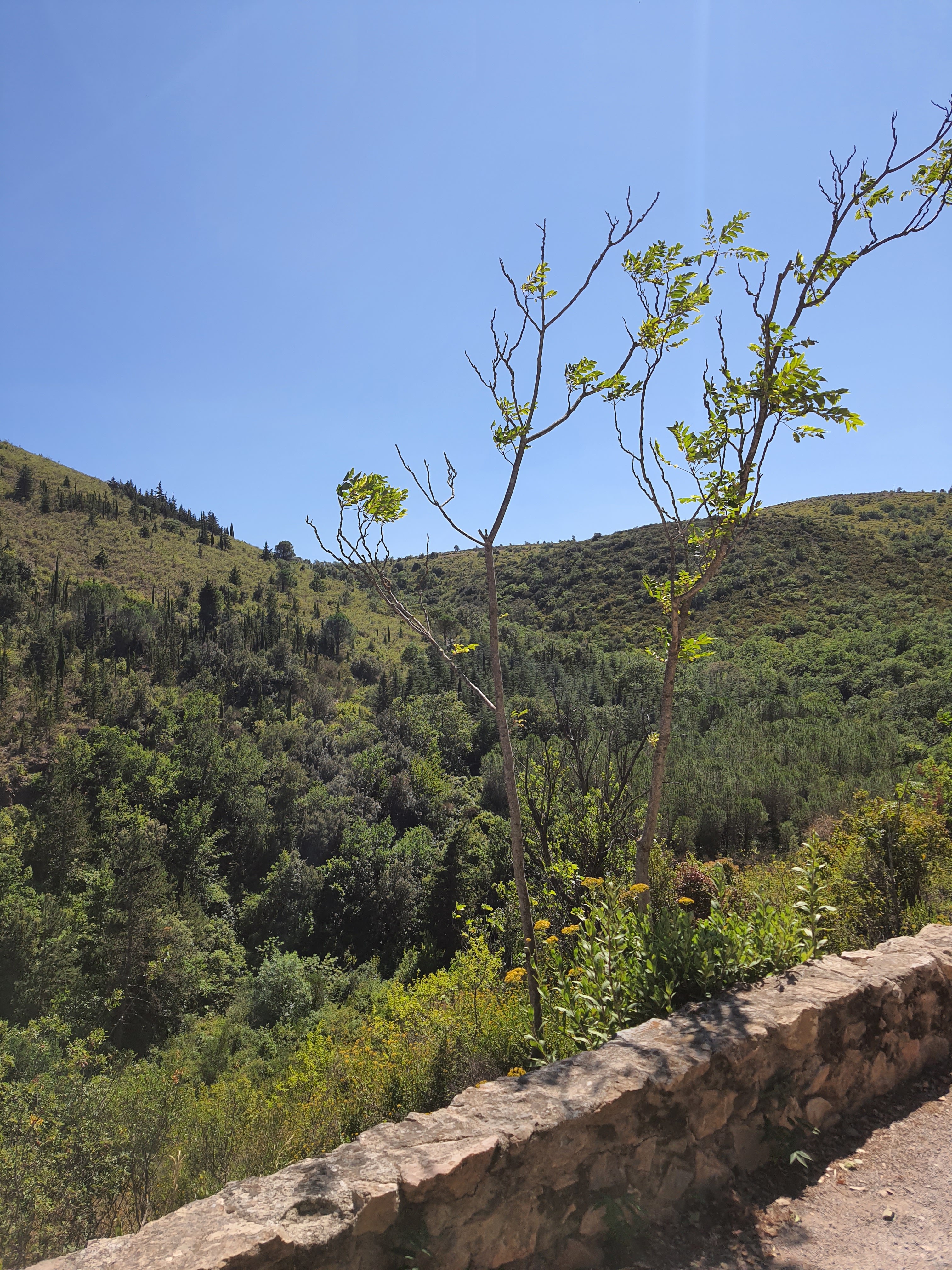 Photo n° 2 de l'avis de ata.a fait le 17/08/2021 à 15:54