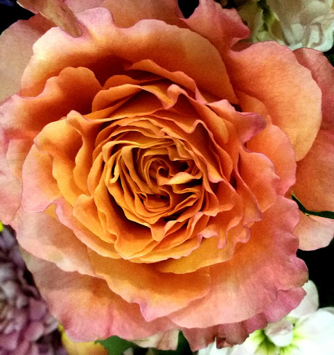 Florist «Country Florist», reviews and photos, 3040 Old Washington Rd, Waldorf, MD 20601, USA