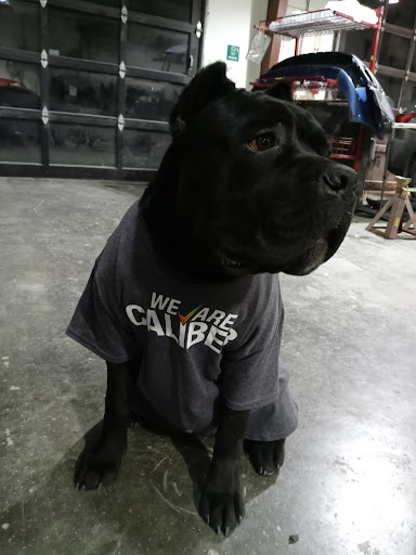 Auto Body Shop «ABRA Auto Body & Glass», reviews and photos, 8312 Canyon Rd E, Puyallup, WA 98372, USA