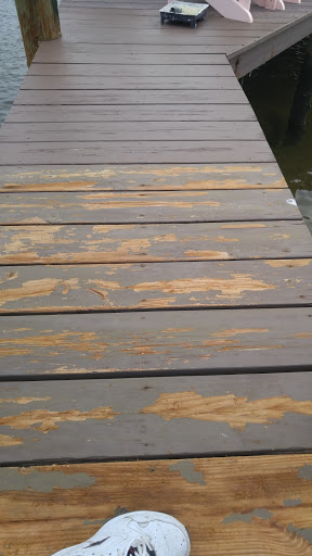 Park «Juno Dunes Natural Area», reviews and photos, 14501 US-1, Juno Beach, FL 33408, USA