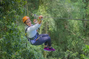 Tsitsikamma Canopy Tours image