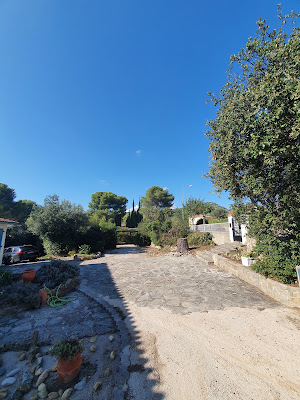 SARL ARBO PACA: Elagage-Abattage-Travaux Forestier (URGENCE 7J/7 24H/24) à La Ciotat