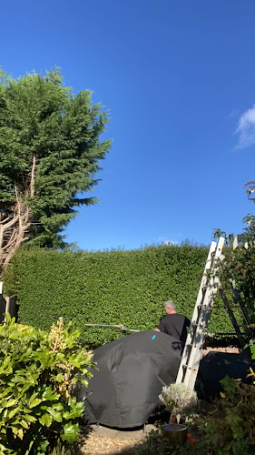 Reviews of LS Hedges & Tree Services in Manchester - Landscaper