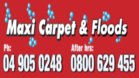 Reviews of Maxi Carpet Services Ltd in Levin - Laundry service