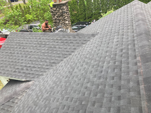 Complete Roofing Services