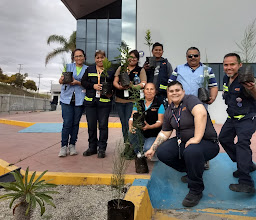 TE Connectivity photo