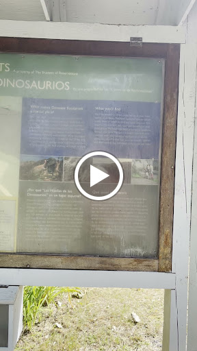 Tourist Attraction «Dinosaur Footprints», reviews and photos, US-5, Holyoke, MA 01040, USA