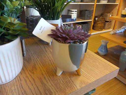 Shopping Mall «Coralwood Shopping Center», reviews and photos, 2301 Del Prado Blvd S, Cape Coral, FL 33990, USA