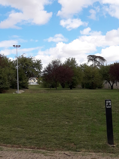 Mur de La Mulatière