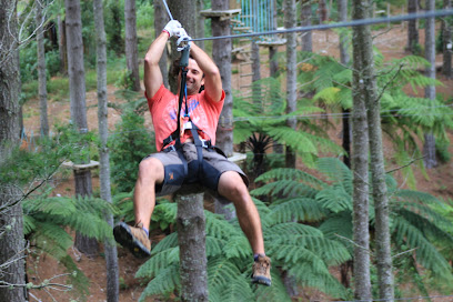 Adrenalin Forest Christchurch