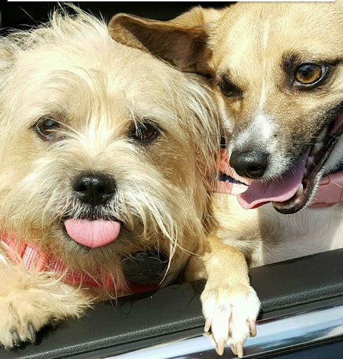 Heidt Veterinary Hospital image