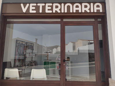 Consulta veterinaria Carretera paterna, 04470 Laujar de Andarax, Almería, España