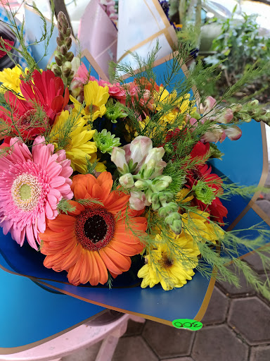 Nissi Florerías – Oaxaca