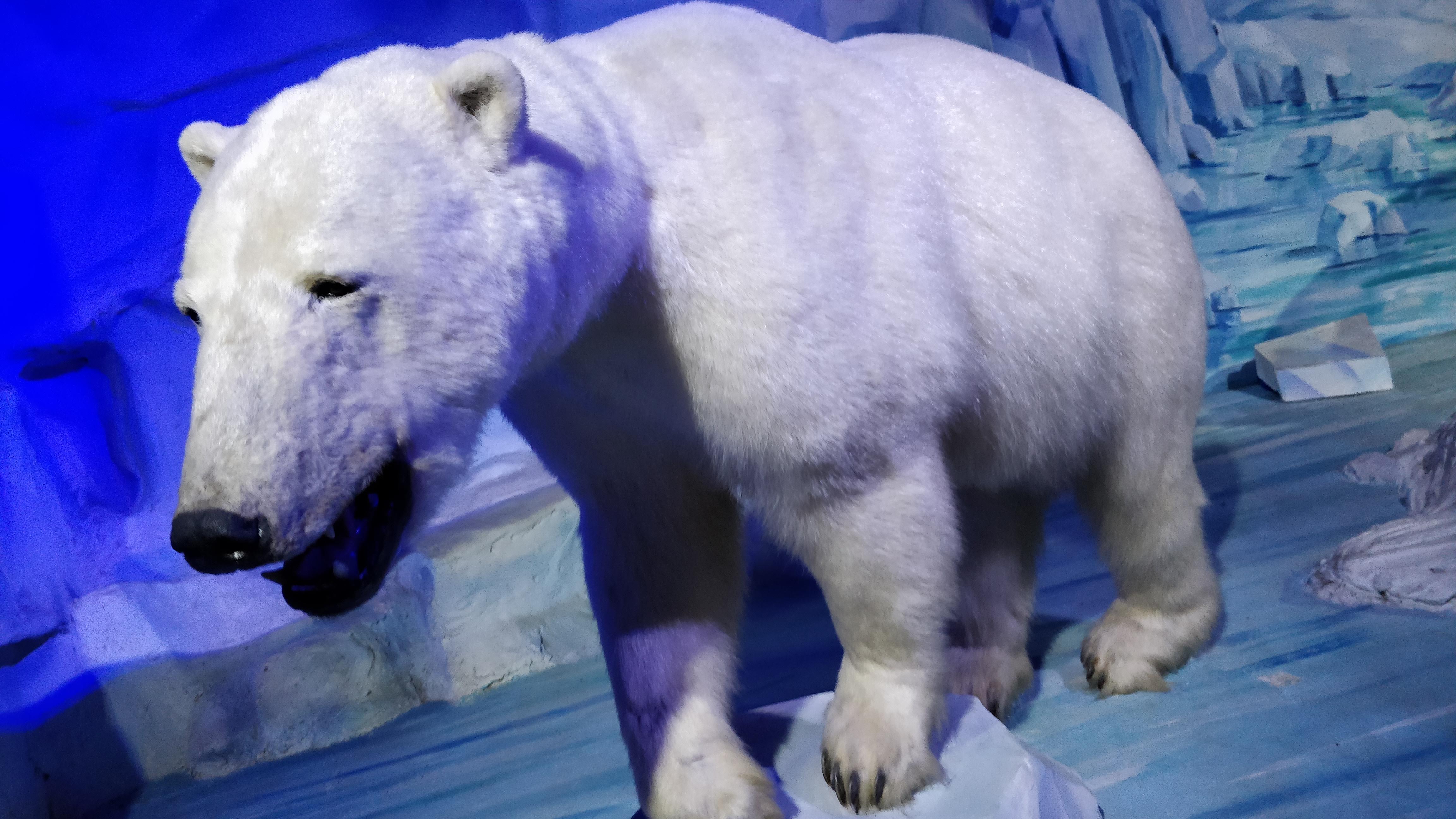 Photo n° 10 de l'avis de Nicolas.o fait le 15/08/2018 à 16:56