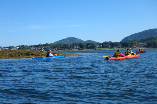 Tourist Information Center «Coastal Kayaking Tours Inc», reviews and photos, 48 Cottage St, Bar Harbor, ME 04609, USA