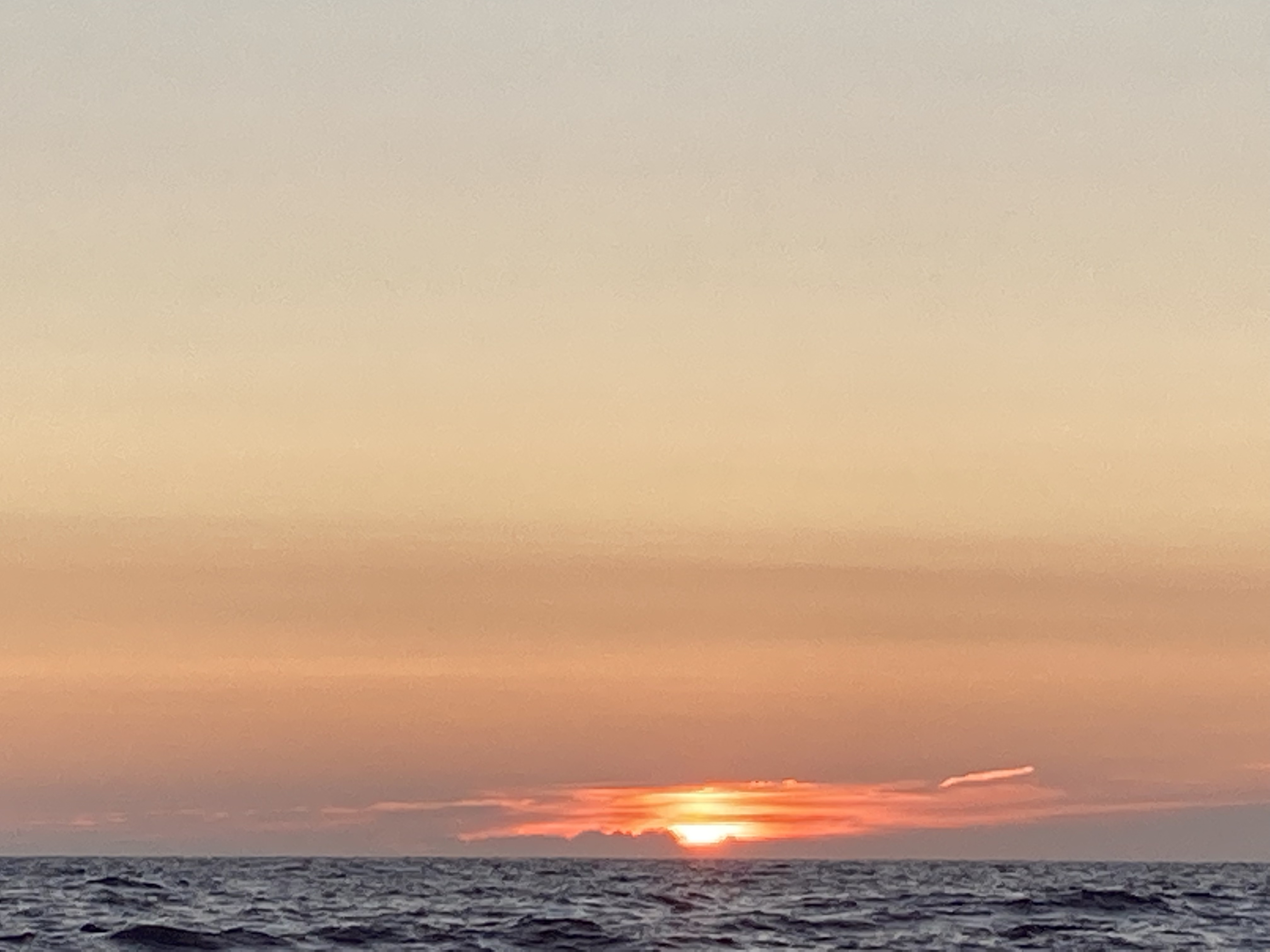 Photo n° 2 de l'avis de Véronique.a fait le 20/08/2021 à 07:19