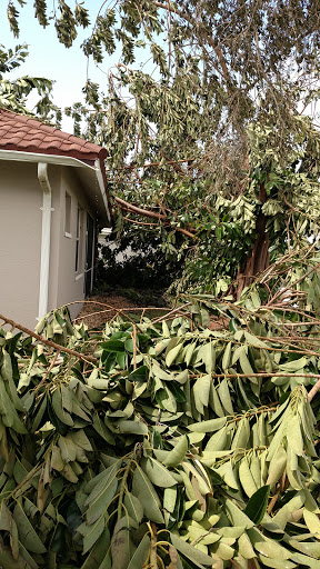 Country Club «Lely Resort Golf & Country Club», reviews and photos, 8004 Lely Resort Blvd, Naples, FL 34113, USA