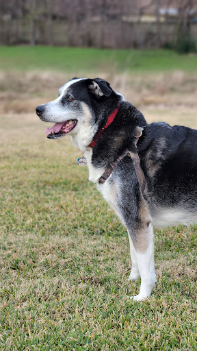 Park «Richfield Park», reviews and photos, 7250 Chapman Rd, North Richland Hills, TX 76182, USA