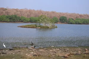 Tadoba Lake image