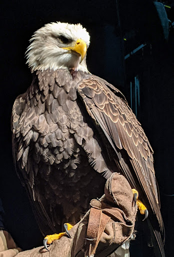 Performing Arts Theater «Princess Theatre», reviews and photos, 112 2nd Ave NE, Decatur, AL 35601, USA