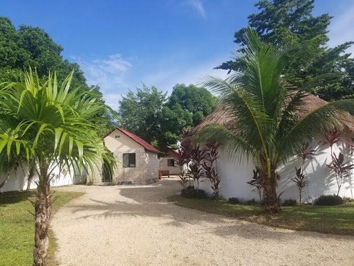 Dog campsites Cancun