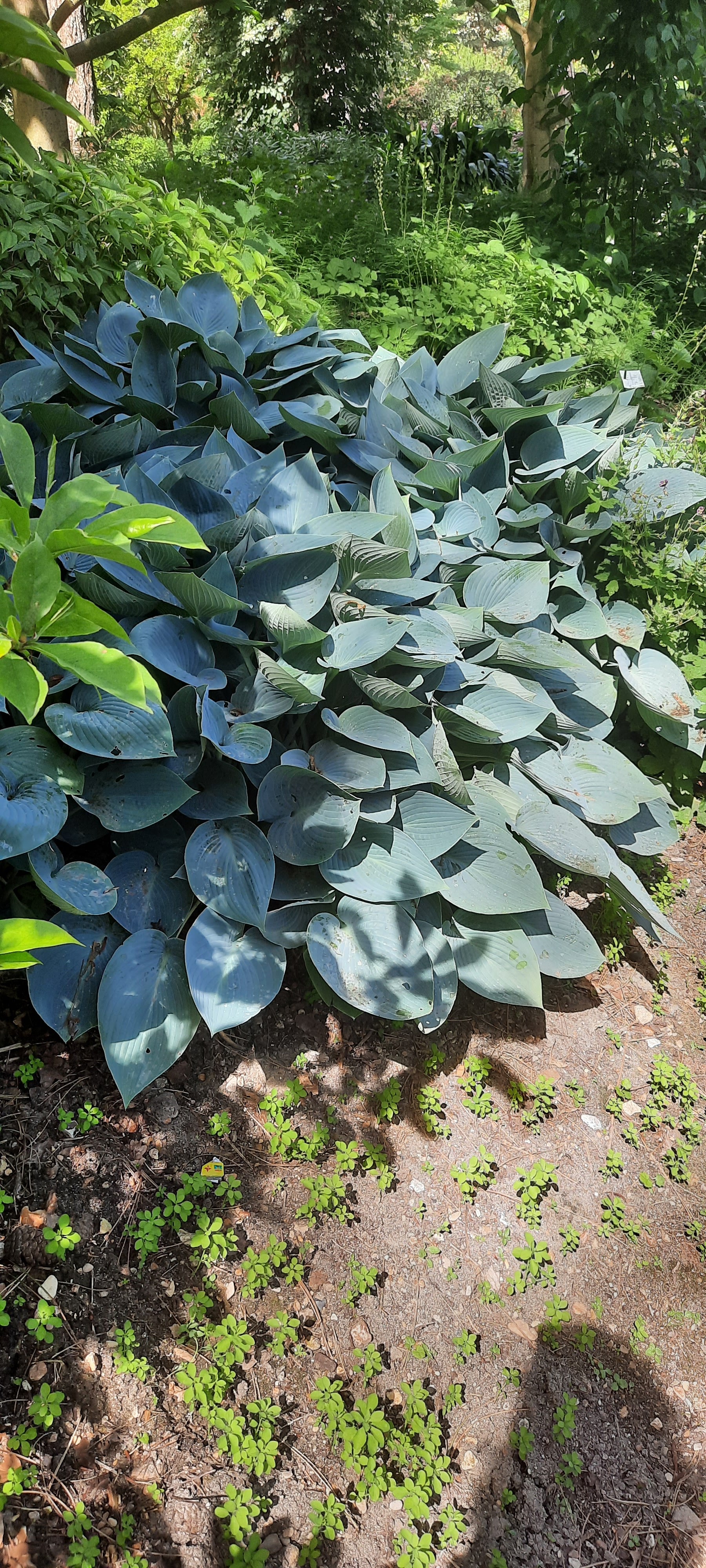 Photo n° 1 de l'avis de Anne-Laurence.� fait le 19/05/2022 à 06:55