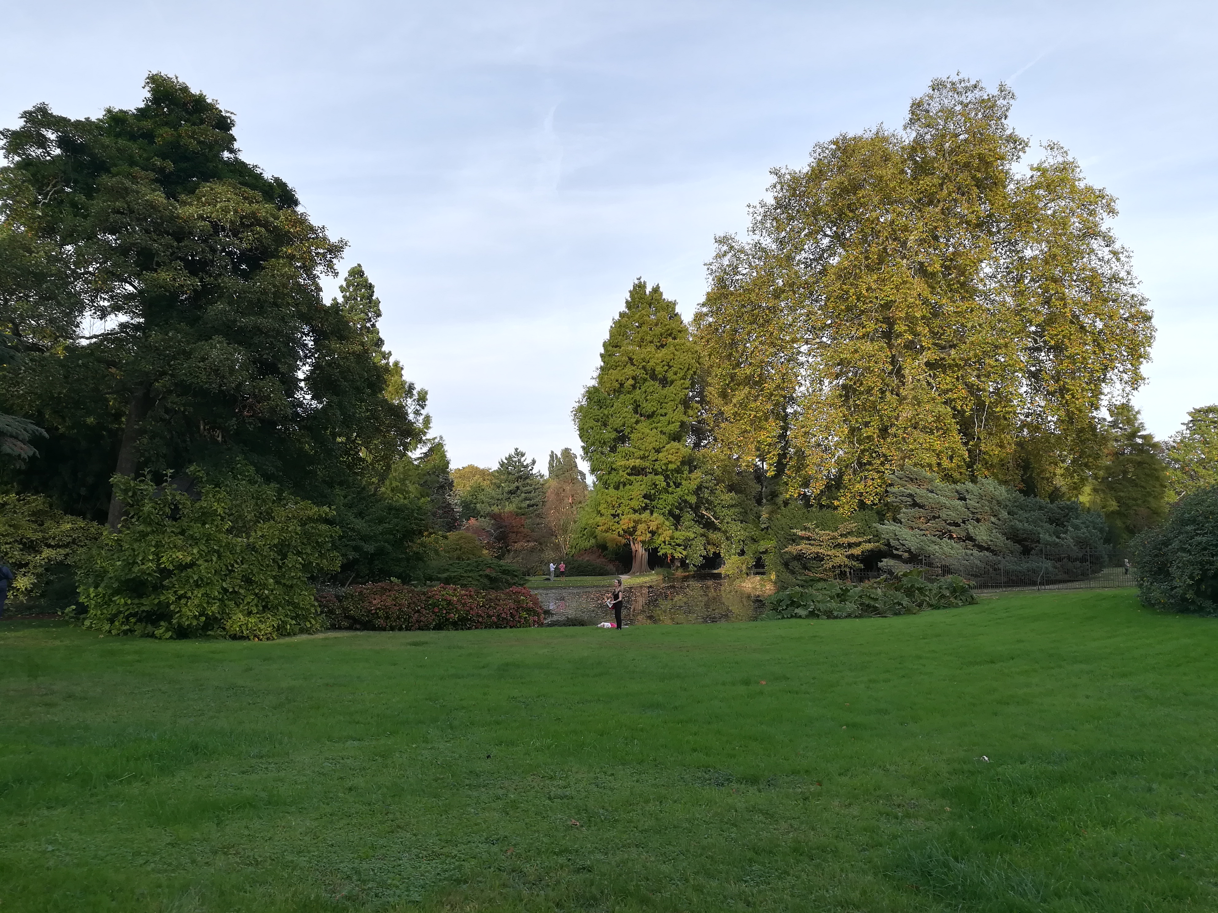 Photo n° 4 de l'avis de Vincent.O fait le 13/10/2018 à 17:33
