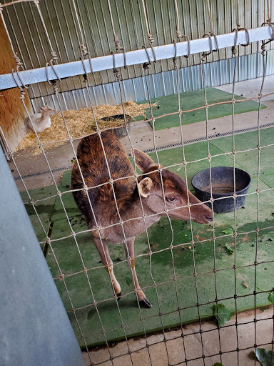 Zoo «Belle Isle Nature Center», reviews and photos, 176 Lakeside Dr, Detroit, MI 48207, USA