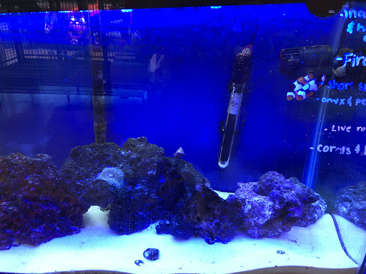 Pet Store «Delhi Pet Center», reviews and photos, 5665 Rapid Run Rd, Cincinnati, OH 45238, USA