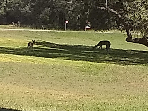 Golf Club «Vaaler Creek Golf Club», reviews and photos, 228 Jeff Vaughn, Blanco, TX 78606, USA