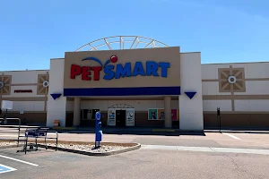 PetSmart image