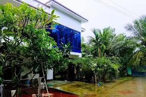 Kandiyar's Garden image